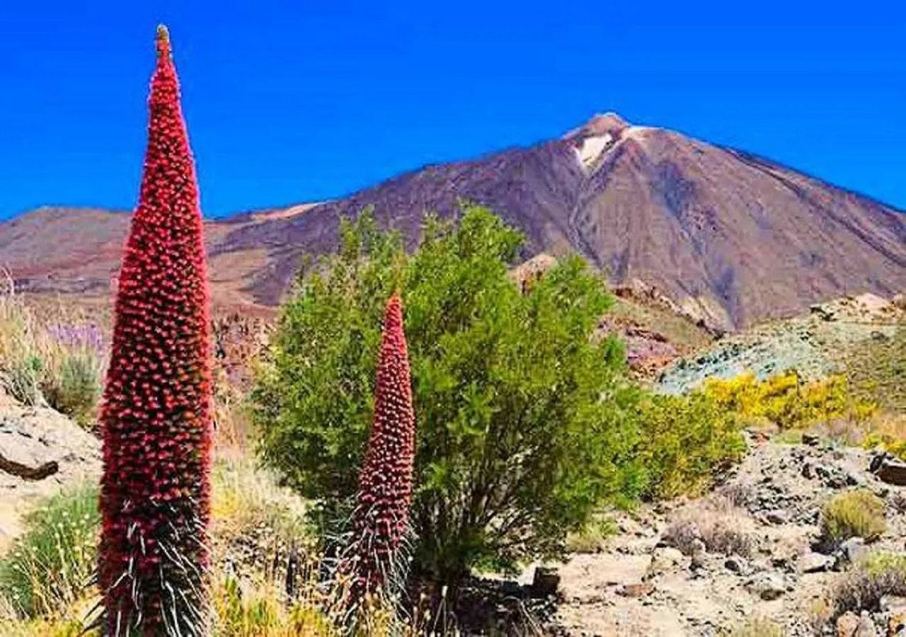 Casa Tayri De Tamaide Tenerife Sur San Miguel de Abona Espagne